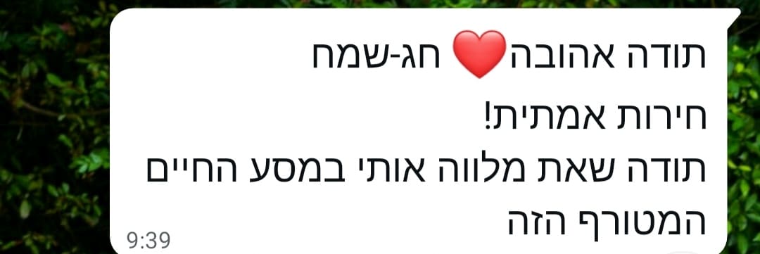 המלצה