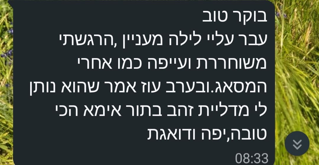 המלצה