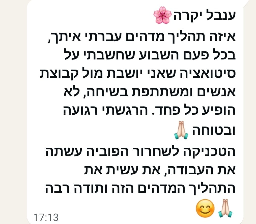 המלצה