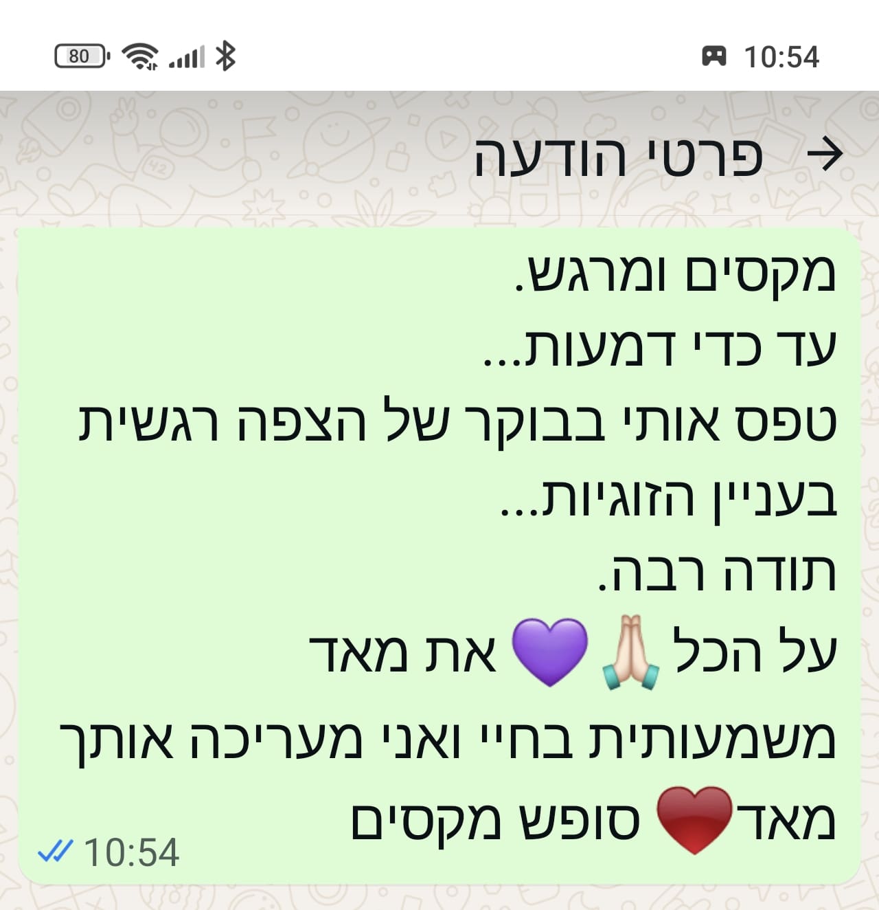 המלצה