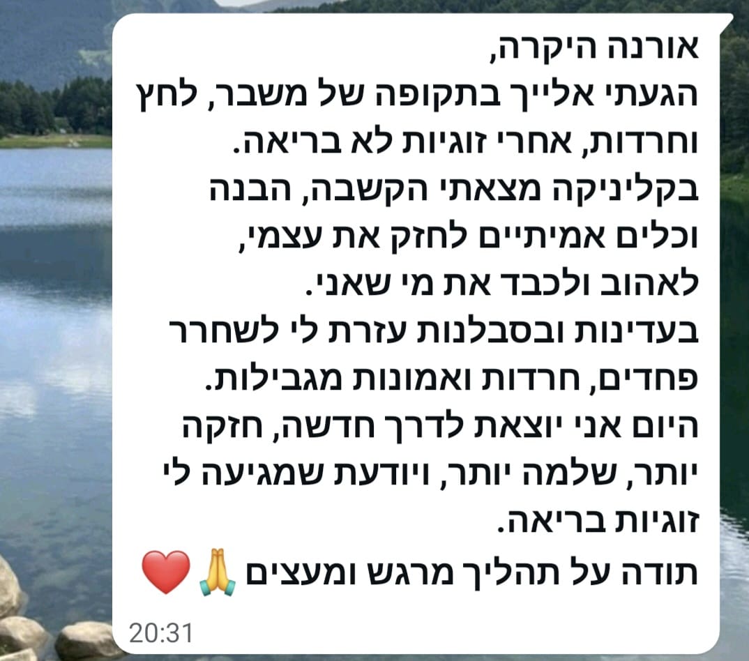 המלצה