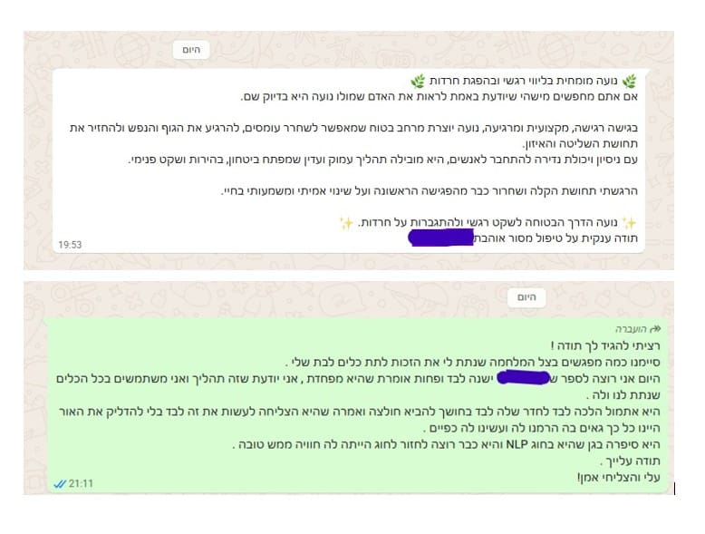 המלצה