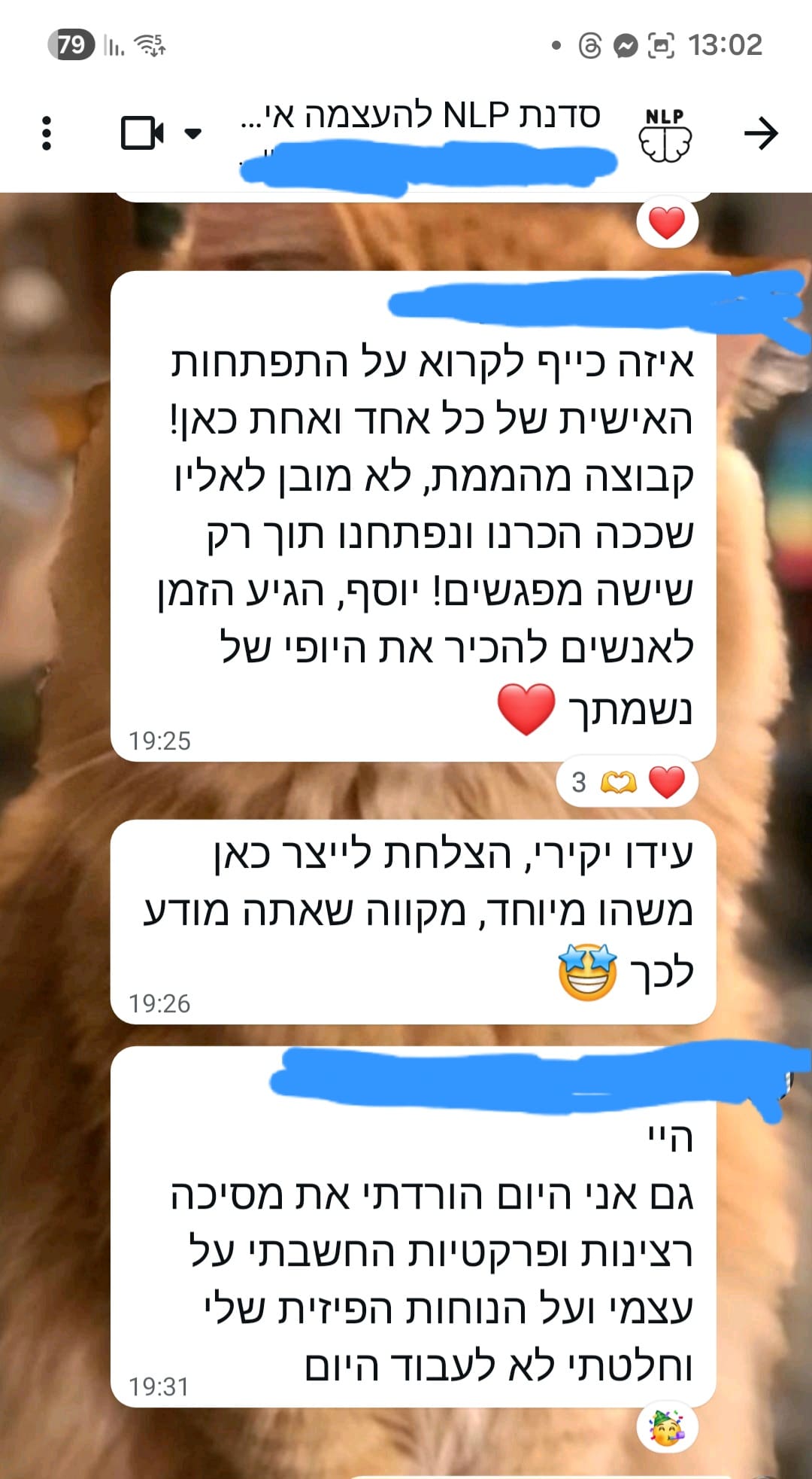 המלצה