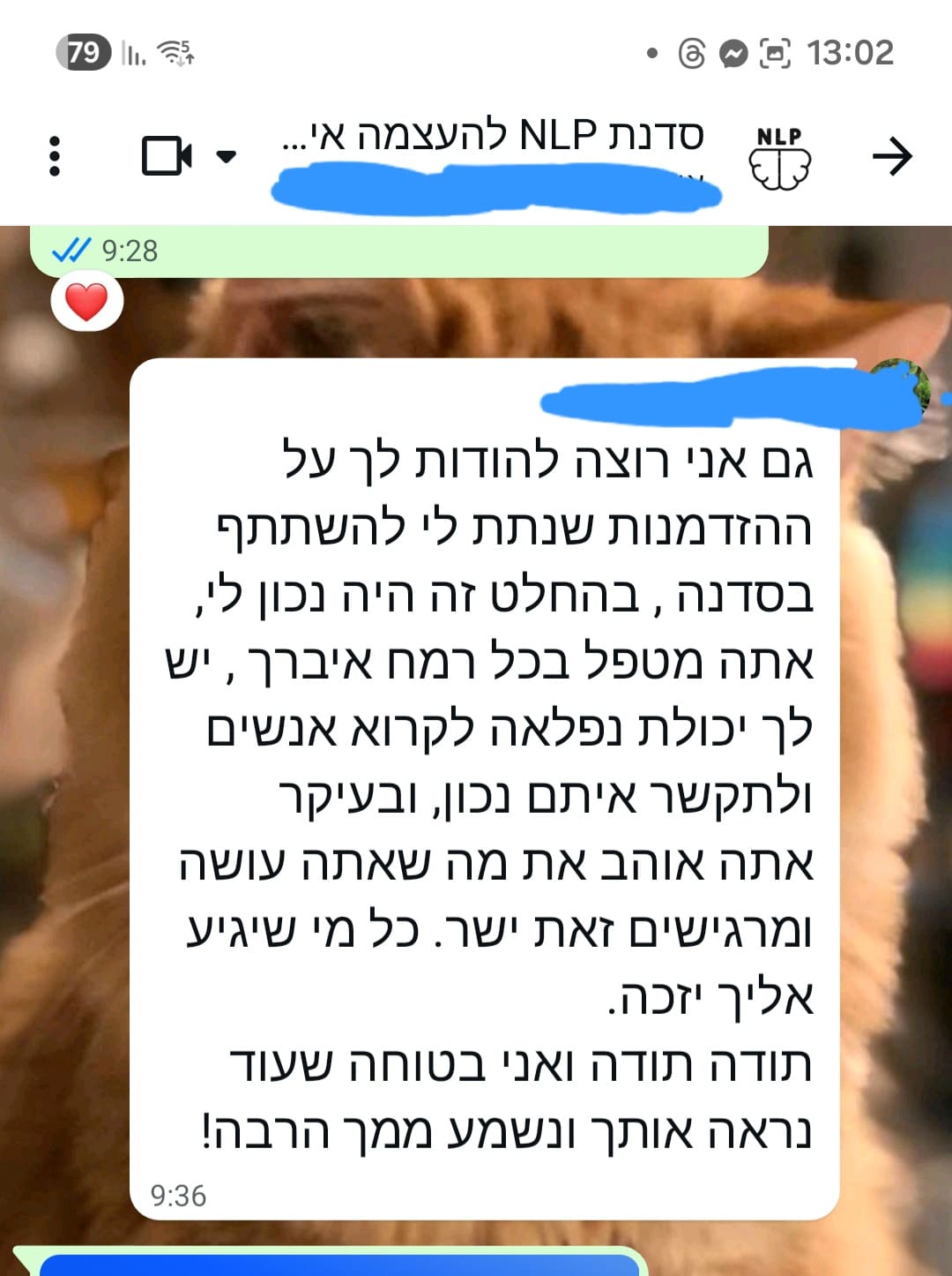 המלצה