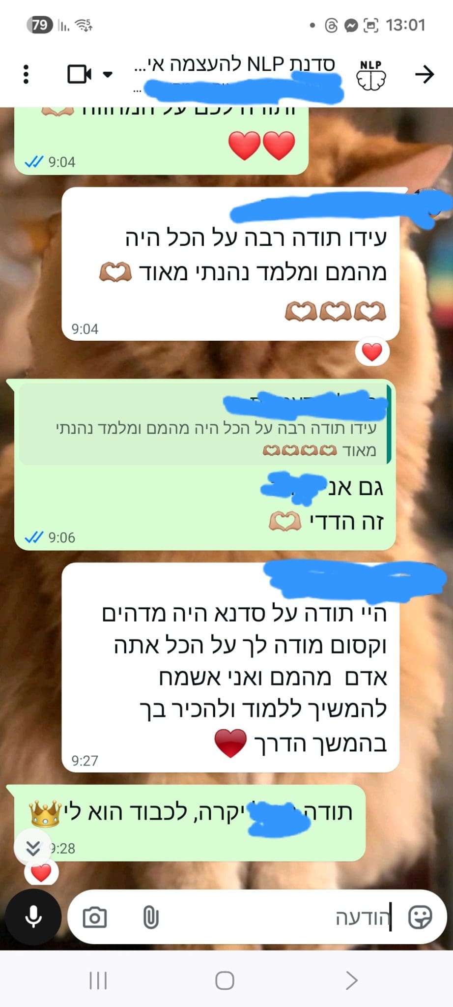 המלצה