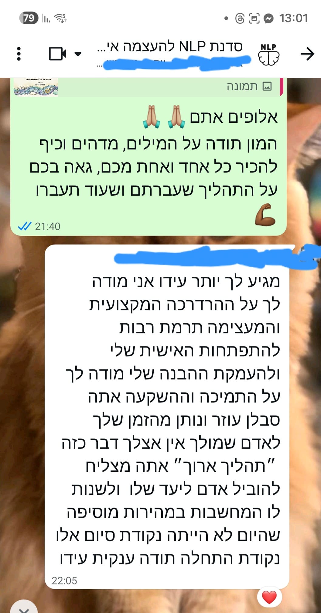 המלצה
