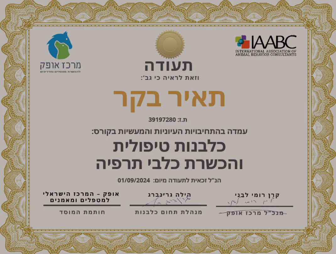 תעודה